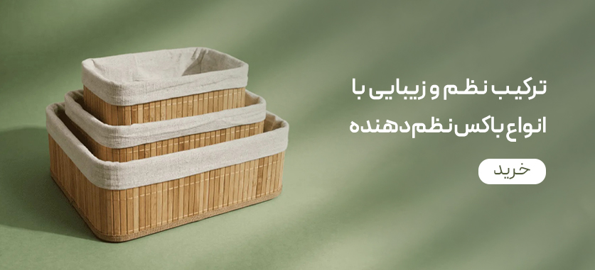 نظم دهنده